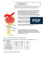 Ficha Trabalho2 Sist Excretor