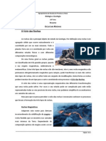 Resumo 10ano Ciclodasrochas PDF