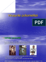 Curs 3 virusologie.ppt