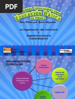 Laorganización del curriculum y sugerencias.pptx