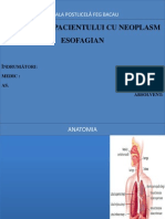 Neoplasm Esofagian