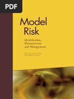Model Risk