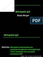 c7b - Nefropatia Ig A