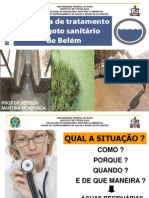 Apresentacao 07 - UFPA - Neyson Martins.pdf