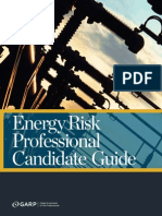 erp_candidate_guide_2014-web.pdf