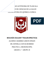 Practica 1 Lab Tisular