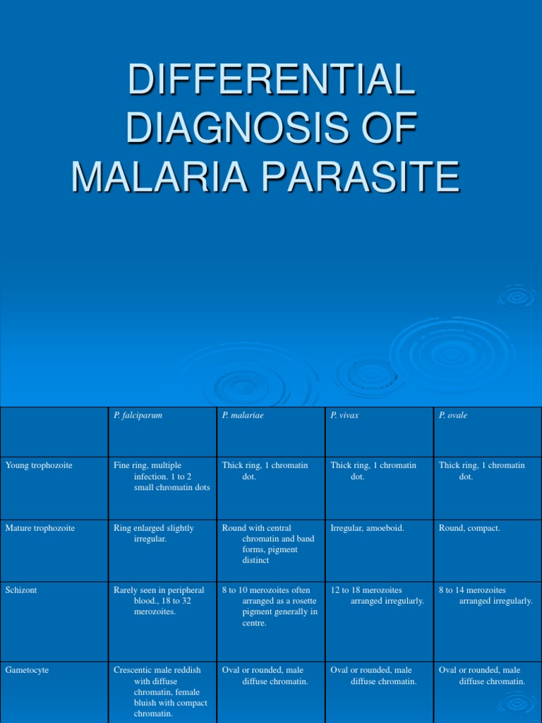 DIFFERENTIAL DIAGNOSIS OF MALARIA PARASITE.ppt