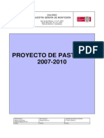 Proyecto de Pastoral PDF
