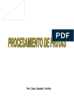 Procesamientodefrutas PDF