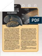 ¿Casualidad o diseño.PDF
