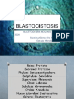 BLASTOCYSTIS