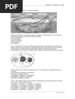 QUESTAO_RELACOES_ECOLOGICAS(1).doc