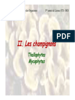 Champignons Thallophytes Mycophytes