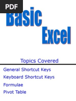 Basic Excel