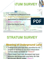 Chapter 4 - Stratum Survey