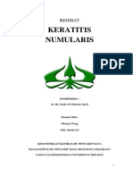 Keratitis Numularis: Referat