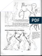 5 - Drawing Jack Hamm How To Draw Animals PDF