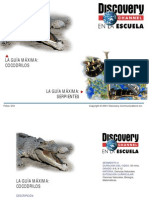 Cocodrilos (Guía Con Respuetas) PDF