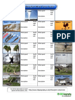 Worksheet - Wind Scale