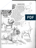 6 - Drawing Jack Hamm How To Draw Animals PDF