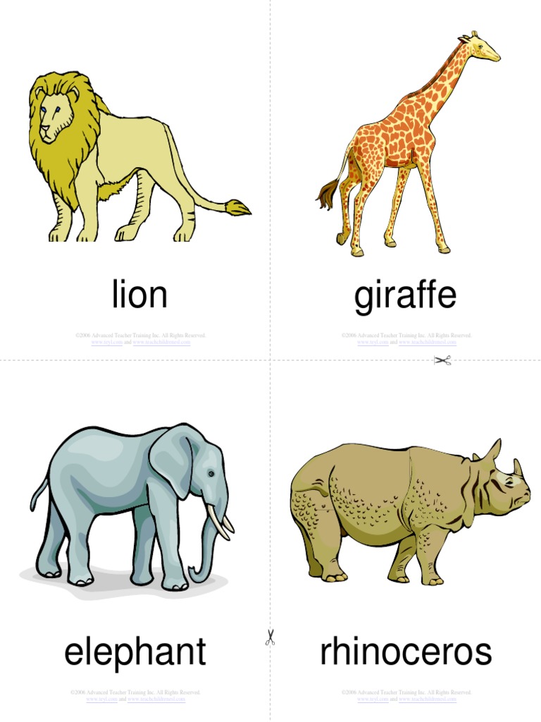 lion giraffe | Nature | Psychology & Cognitive Science