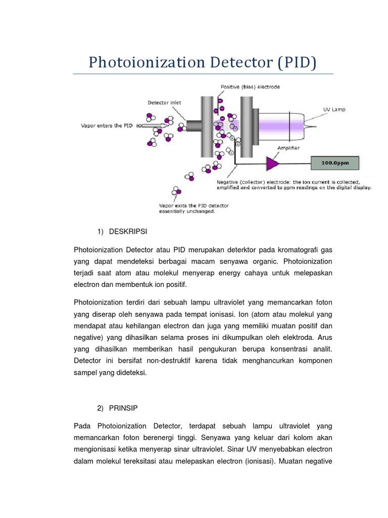 Photoionization Detector PDF
