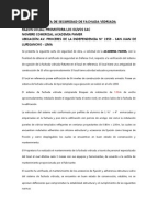 Carta Responsiva