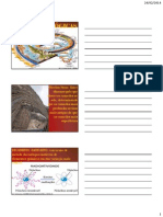 eras geologicas.pdf