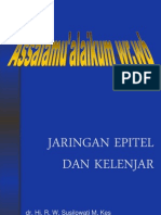 Epitel Kelenjar, Kuliah