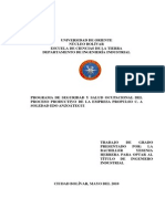 080-Tesis-Programa de Seguridad y Salud Ocupacional PDF
