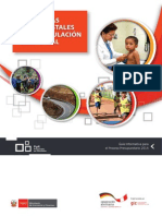 Accion1 Guia Informativa PP2014 PDF