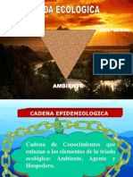 Triada Ecologíca - Causalidad y Multicausalidad.pptx