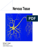 Nervous Tissue Lecture1
