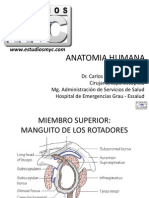 ANATOMIA HUMANA EstudiosMyC PDF