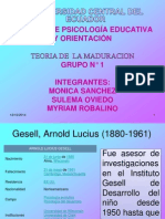 Teoria de La Maduracion Grupo 1