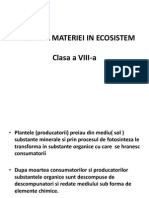 Circuitul Materiei in Ecosistem