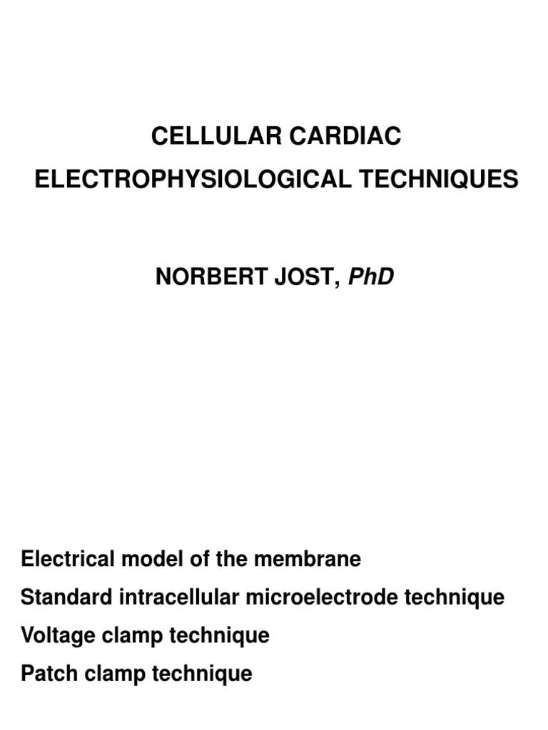Patch Clamp Techniques PDF Neurobiology Neuroscience
