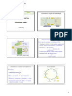 Aula 9 - Fotossíntese - Parte II PDF