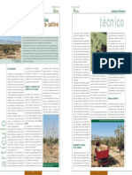 Cultivo del pistacho.pdf