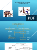 Sistema Nervioso Autónomo: Dr. Vargas Soriano, Arturo MD