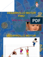 Desarrollo Motor Fino