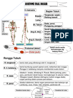 Bab 2 Anatomi Faal Dasar