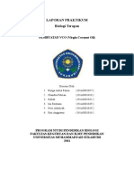 pembuatan-virgin-oil-vco.doc