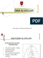 Anatomia Alveolo PDF