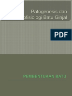 Patogenesis Dan Patofisiologi Batu Ginjal