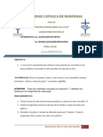 LABORATORIO 6 FISICA II (Calor Especifico) PDF