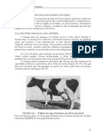 Parte_4_-_Bovinos_leiteiros.pdf