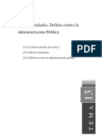 Tema13 PDF