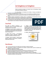 dieta careogenica.pdf