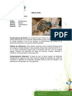 abejas.pdf